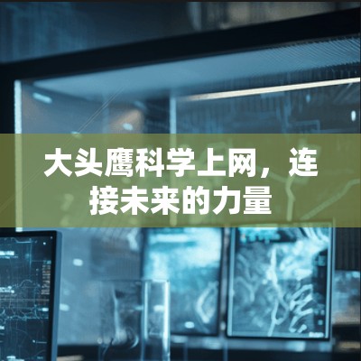 大头鹰科学上网，连接未来的力量
