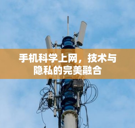 手机科学上网，技术与隐私的完美融合
