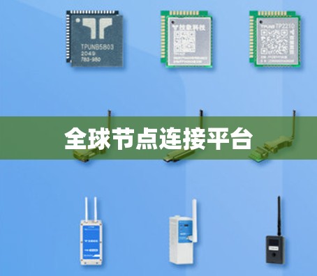 全球节点连接平台