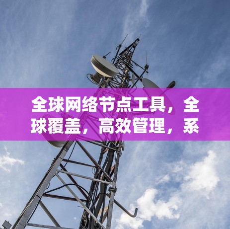全球网络节点工具，全球覆盖，高效管理，系统优化
