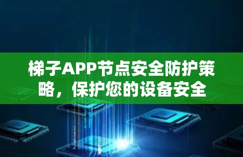 梯子APP节点安全防护策略，保护您的设备安全