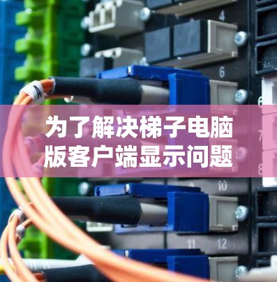 为了解决梯子电脑版客户端显示问题，我们可以按照以下步骤进行调整