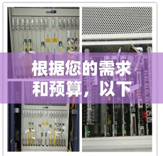 根据您的需求和预算，以下是详细的梯子客户端下载策略