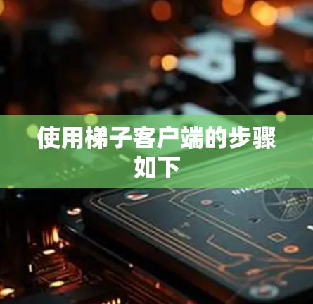 使用梯子客户端的步骤如下