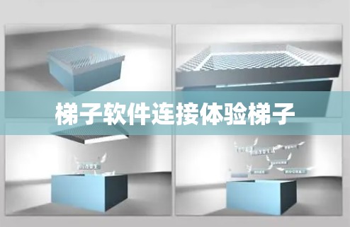 梯子软件连接体验梯子