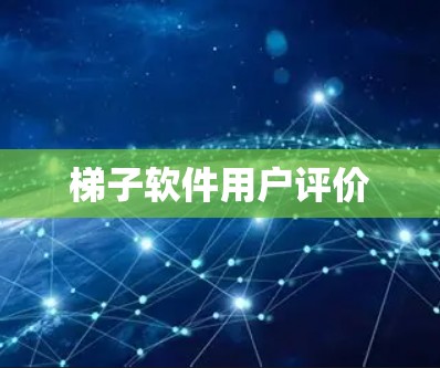 梯子软件用户评价