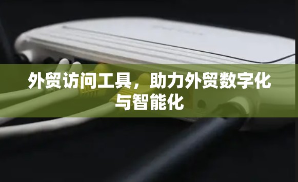 外贸访问工具,助力外贸数字化与智能化 外贸访问工具,助力外贸数字化与智能化