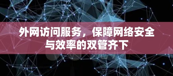 外网访问服务，保障网络安全与效率的双管齐下