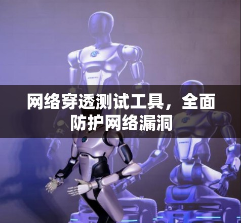 网络穿透测试工具，全面防护网络漏洞
