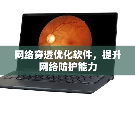 网络穿透优化软件，提升网络防护能力