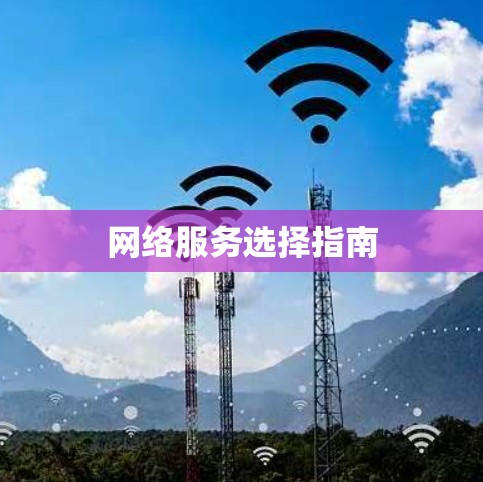 网络服务选择指南