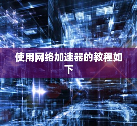 使用网络加速器的教程如下