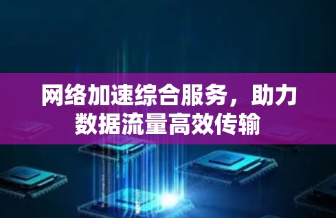 网络加速综合服务，助力数据流量高效传输