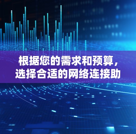 根据您的需求和预算，选择合适的网络连接助手，以下是详细的分析与推荐