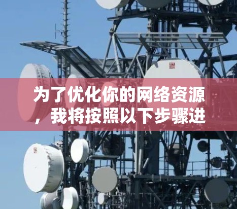 为了优化你的网络资源，我将按照以下步骤进行分析和建议