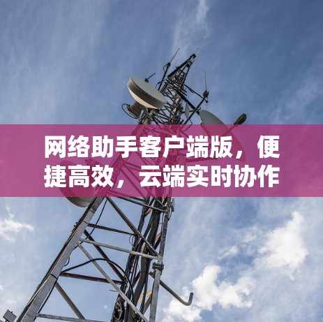 网络助手客户端版，便捷高效，云端实时协作