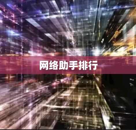 网络助手排行