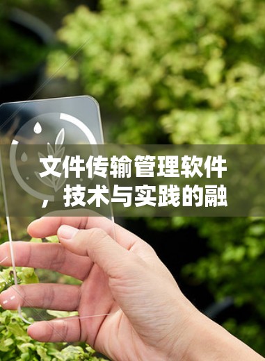 文件传输管理软件，技术与实践的融合