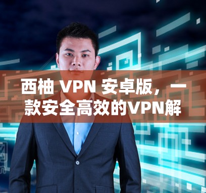 西柚 VPN 安卓版，一款安全高效的VPN解决方案