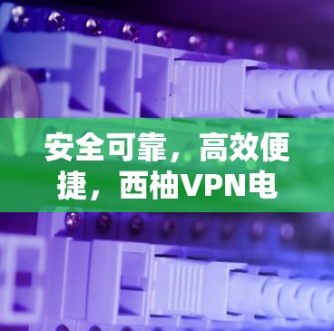 安全可靠，高效便捷，西柚VPN电脑版你的不二之选