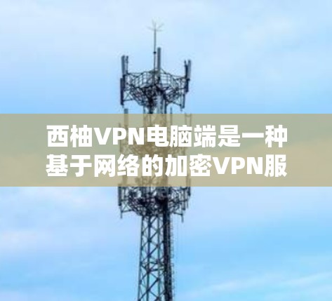 西柚VPN电脑端是一种基于网络的加密VPN服务，用户可以通过以下步骤使用