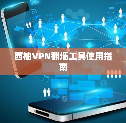 西柚VPN翻墙工具使用指南