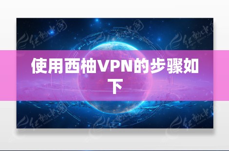 使用西柚VPN的步骤如下
