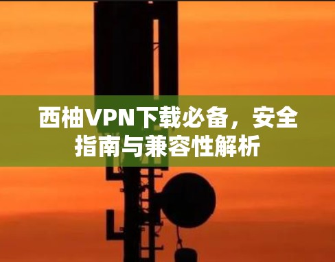 西柚VPN下载必备，安全指南与兼容性解析