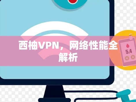 西柚VPN，网络性能全解析