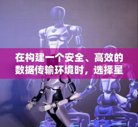 在构建一个安全、高效的数据传输环境时，选择星空VPN机场节点和高速服务器是一个明智的决策。以下是对该系统的详细分析和总结