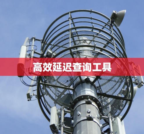 高效延迟查询工具