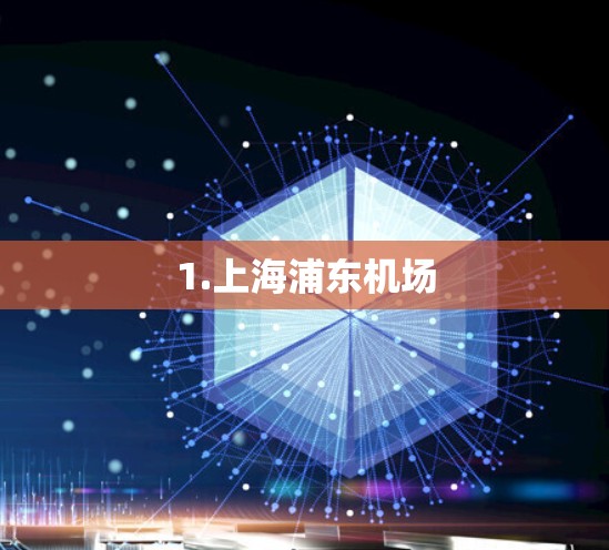 1.上海浦东机场