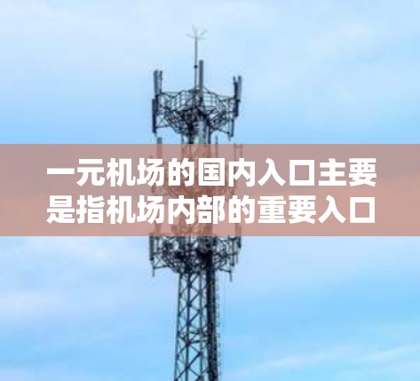 一元机场的国内入口主要是指机场内部的重要入口，这些入口是人们可以直接进入机场的地点。以下是几个主要的国内入口