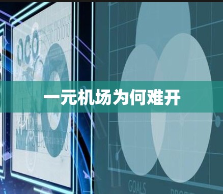 一元机场为何难开