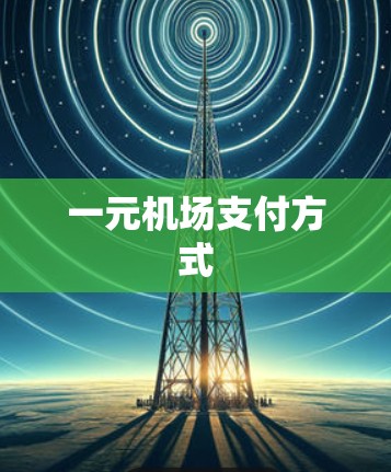 一元机场支付方式 一元机场支付方式