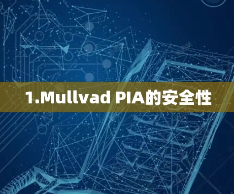 1.Mullvad PIA的安全性