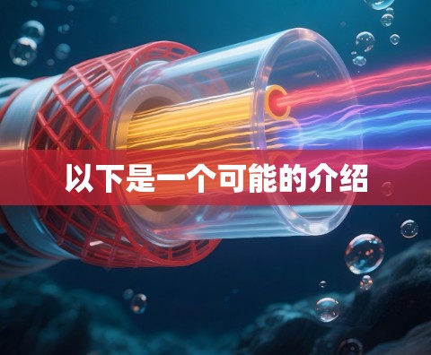 以下是一个可能的介绍