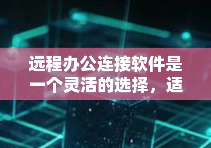 远程办公连接软件是一个灵活的选择，适合多种远程协作需求。以下是对这些软件的总结和推荐